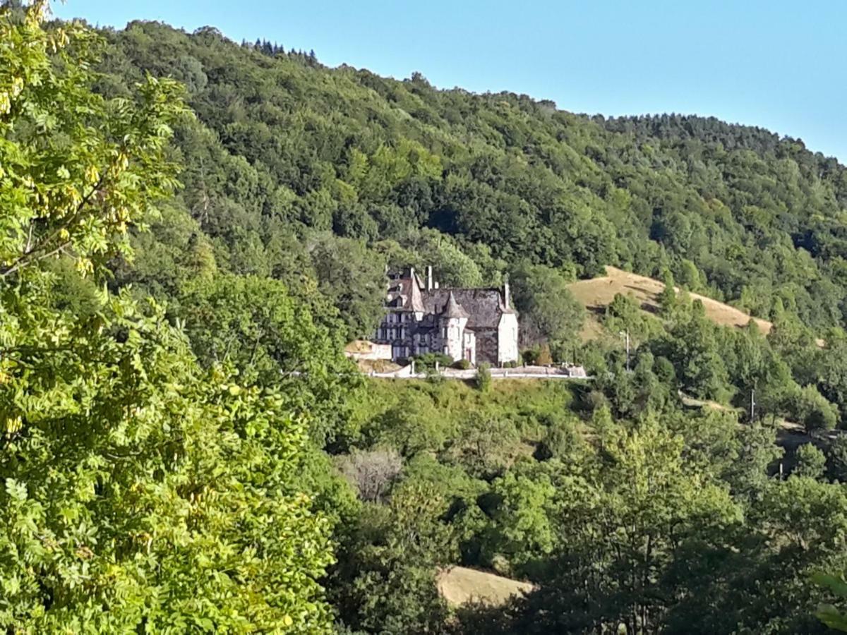 Chateau De Courbelimagne, Raulhac Екстер'єр фото